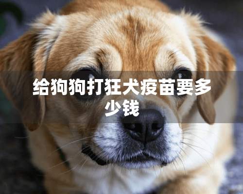 给狗狗打狂犬**要多少钱