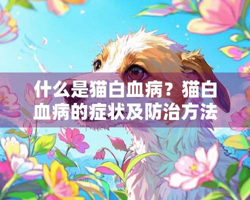 什么是猫白血病？猫白血病的症状及防治方法