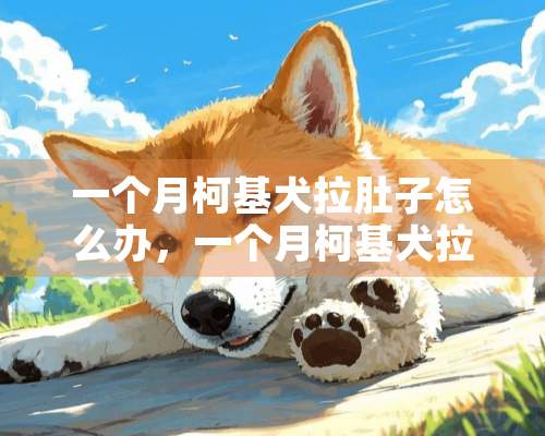 一个月柯基犬拉肚子怎么办，一个月柯基犬拉稀怎么治