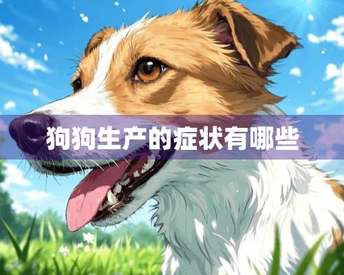 狗狗生产的症状有哪些