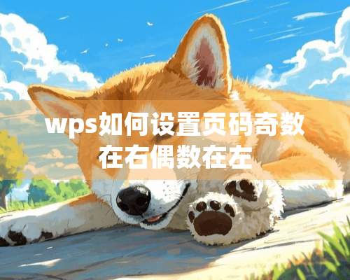 wps如何设置页码奇数在右偶数在左