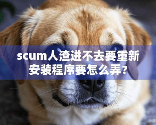 scum**进不去要重新安装程序要怎么弄？