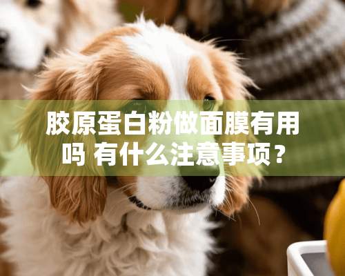 胶原蛋**做面膜有用吗 有什么注意事项？