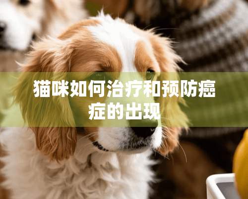 猫咪如何治疗和预防癌症的出现