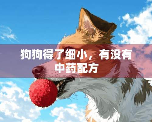 狗狗得了细小，有没有中药配方