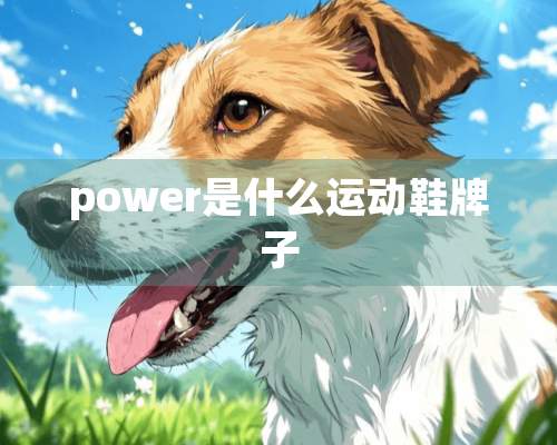 power是什么运动鞋牌子