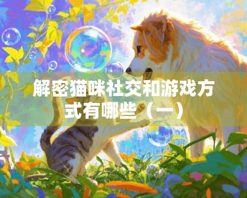 解密猫咪社交和游戏方式有哪些（一）