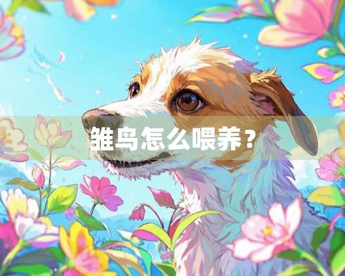 雏鸟怎么喂养？