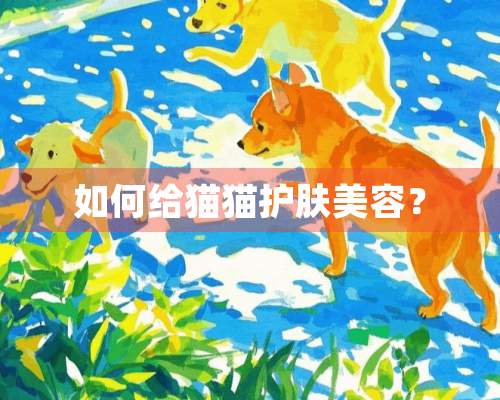 如何给猫猫护肤美容？