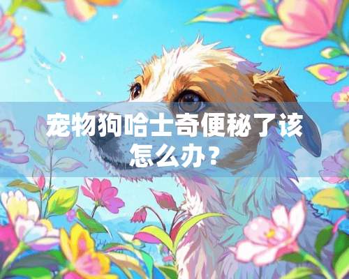 宠物狗哈士奇便秘了该怎么办？