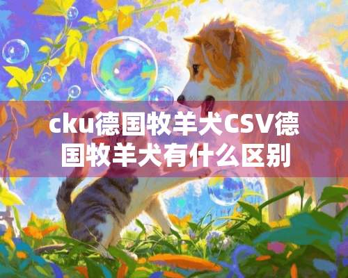 cku德国牧羊犬CSV德国牧羊犬有什么区别