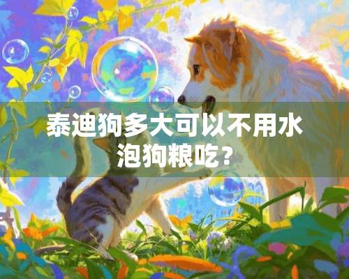 泰迪狗多大可以不用水泡狗粮吃？