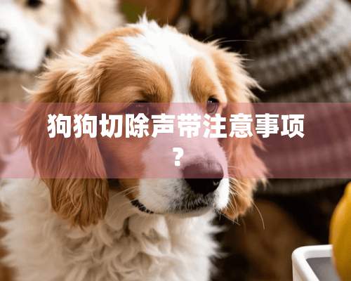 狗狗切除声带注意事项？