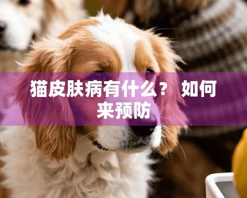 猫皮肤病有什么？ 如何来预防