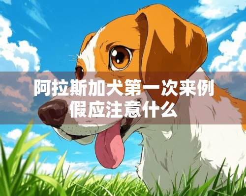 阿拉斯加犬第一次来例假应注意什么