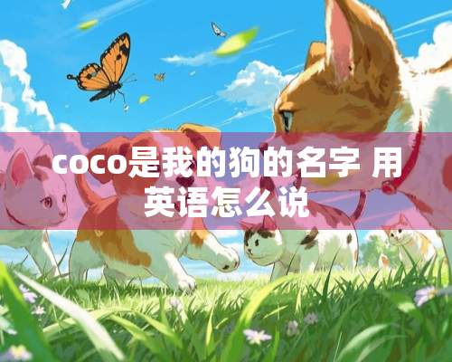 coco是我的狗的名字 用英语怎么说