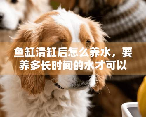 鱼缸清缸后怎么养水，要养多长时间的水才可以放鱼