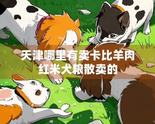 天津哪里有卖卡比羊肉红米犬粮散卖的