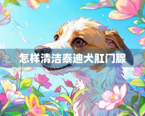 怎样清洁泰迪犬*门腺