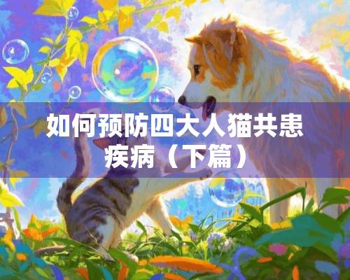 如何预防四大人猫共患疾病（下篇）