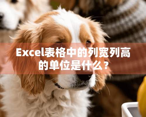 Excel表格中的列宽列高的单位是什么？