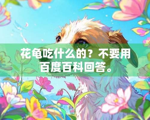 花龟吃什么的？不要用百度百科回答。