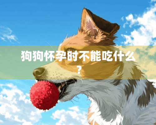 狗狗怀孕时不能吃什么？