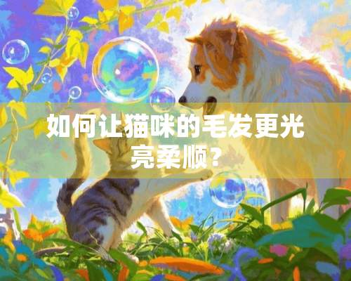 如何让猫咪的毛发更光亮柔顺？