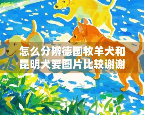 怎么分辨德国牧羊犬和昆明犬要图片比较谢谢