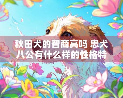 秋田犬的智商高吗 忠犬八公有什么样的性格特点