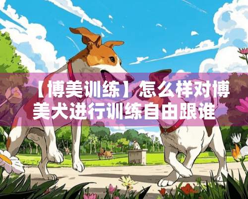 【博美训练】怎么样对博美犬进行训练自由跟谁？