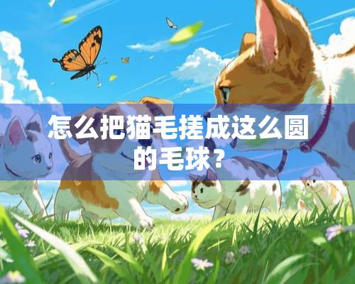 怎么把猫毛搓成这么圆的毛球？