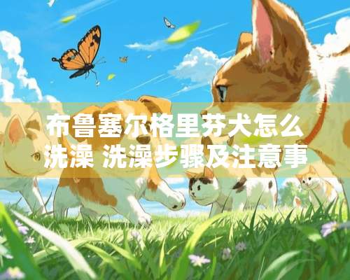 布鲁塞尔格里芬犬怎么洗澡 洗澡步骤及注意事项