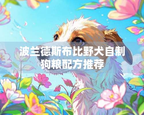 波兰德斯布比野犬自制狗粮配方推荐