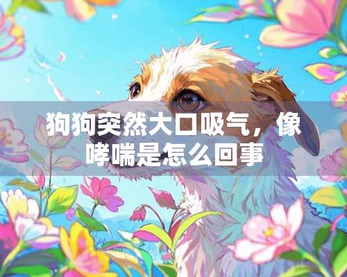 狗狗突然大口吸气，像哮喘是怎么回事