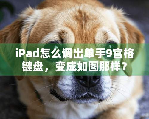 iPad怎么调出单手9宫格键盘，变成如图那样？