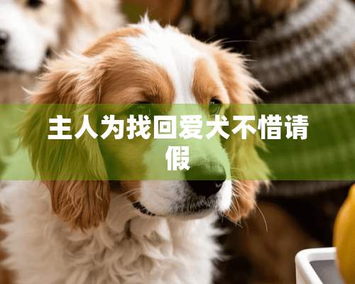 主人为找回爱犬不惜请假