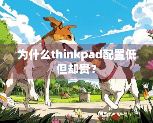 为什么thinkpad配置低但却贵？