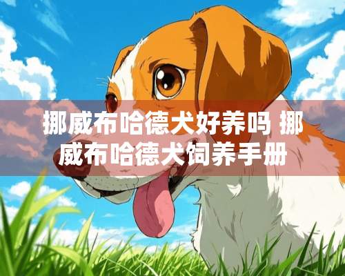 挪威布哈德犬好养吗 挪威布哈德犬饲养手册