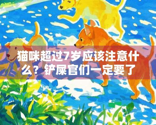 猫咪超过7岁应该注意什么？铲屎官们一定要了解的重要信息！