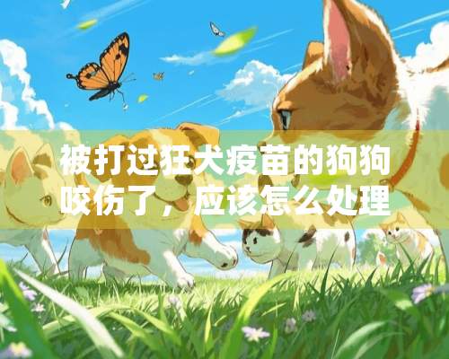 被打过狂犬**的狗狗咬伤了，应该怎么处理？