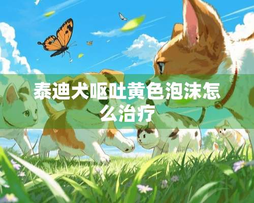 泰迪犬呕吐**泡沫怎么治疗