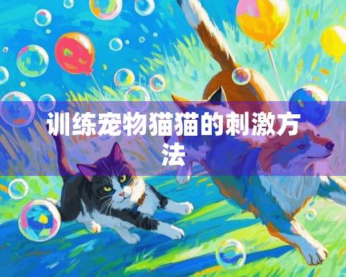 训练宠物猫猫的**方法