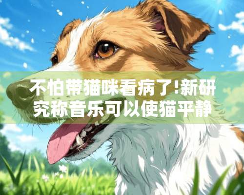 不怕带猫咪看病了!新研究称音乐可以使猫平静!