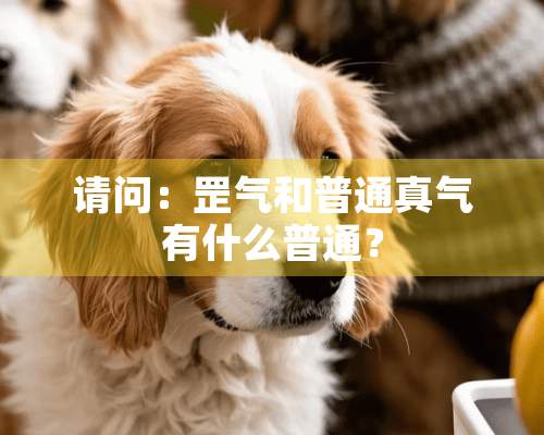 请问：罡气和普通真气有什么普通？