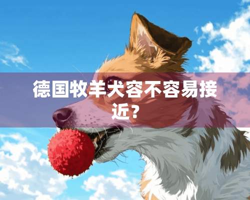 德国牧羊犬容不容易接近？