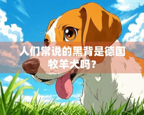 人们常说的黑背是德国牧羊犬吗？