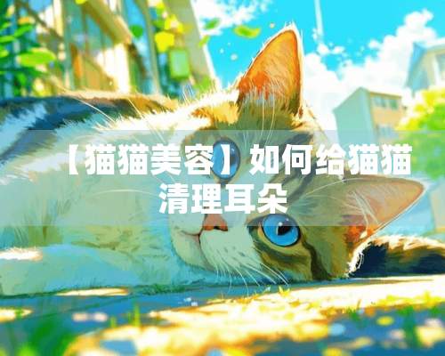 【猫猫美容】如何给猫猫清理耳朵