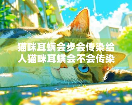 猫咪耳螨会步会传染给人猫咪耳螨会不会传染给人