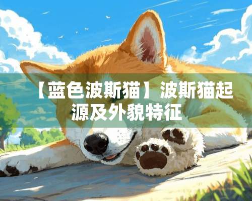 【蓝色波斯猫】波斯猫起源及外貌特征